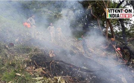 Maharashtra Couple, Daughter Die in Kedarnath Helicopter Crash—But How Did Their Son Survive?