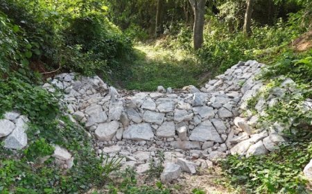 Reclaiming Water, Restoring Hope for Kolar: The Art of Living & Ashirvad