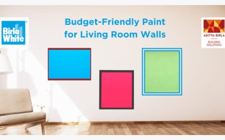 Is There a Budget-Friendly Paint for Living Room Walls That Lasts Long and Doesn’t Need Frequent Repainting