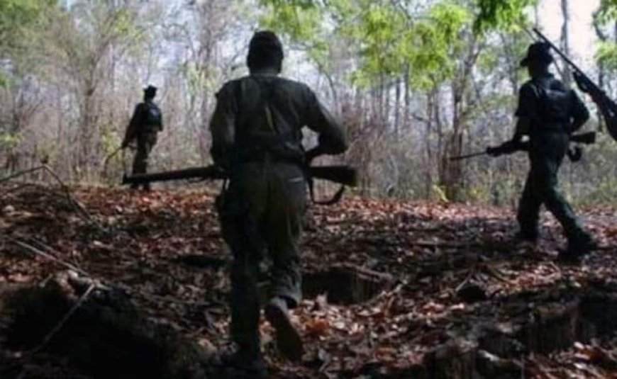 Did They Refuse to Surrender? Encounter in MP Leaves 4 Maoists Dead