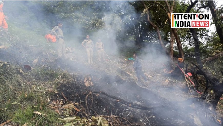 Maharashtra Couple, Daughter Die in Kedarnath Helicopter Crash—But How Did Their Son Survive?