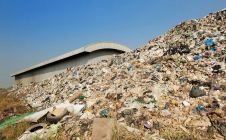 No More Waste: Ludhiana MC Tightens Rules on Roads, Markets and Meat Shops