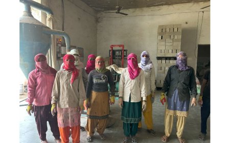 Building Sustainable Futures: Gohemp Transforms Crop Waste into Livelihood and Low-Carbon Homes