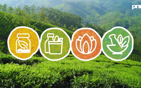 India’s Healing Comeback: How AYUSH Is Quietly Winning the Healthcare Game with Ancient Wisdom