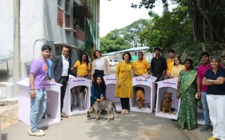 Mars and Instamart Expand Paw Protecc to Hyderabad and Chennai to Shield Homeless Pets from Monsoon Hardship