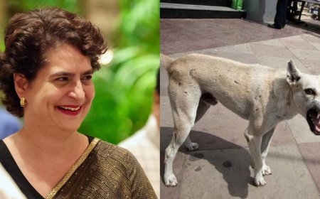 Priyanka Gandhi Slams SC Order on Stray Dogs, Calls it “Horrendously Inhumane