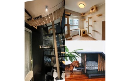 My Dog Slept Below My Bed or shares my bed”— That’s When I Realised Something Was Wrong