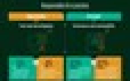 As Agentic AI Gains Traction, 86% of Enterprises Anticipate Heightened Risks, Yet Only 2% of Companies Meet Responsible AI Gold Standards