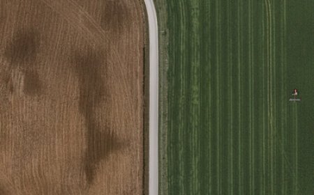 The National Geographic Society and PepsiCo Launch New Food for Tomorrow Program Focused on Regenerative Agriculture