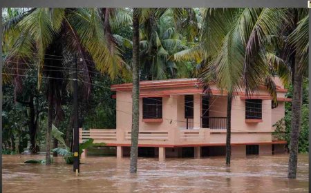 Yamuna River Crosses Danger Mark, Heavy Rains Trigger Flood Risk in Delhi-NCR; Schools Shut, Traffic Chaos in Gurugram