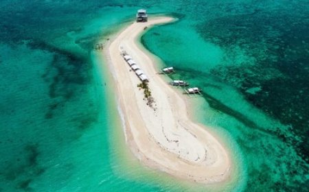 Asia's largest sustainable gastronomy event launches in November 2025 - Philippines to host the first-ever Terra Madre Asia & Pacific