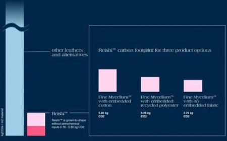 MycoWorks Reaches New Milestone with the Next Iteration of Fine Mycelium™