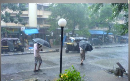Heavy Rains, Thunderstorms, Trees uprooted and waterlogging in Delhi; relief from heatwave