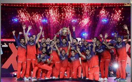 “Ee Sala Cup Namdu” as RCB wins their first maiden IPL Final against Punjab Kings