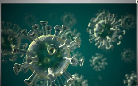 Active COVID 19 cases crosses the  4,000 mark; 4 deaths recorded
