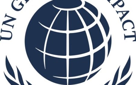 UN Global Compact Ocean Stewardship Coalition Drives Momentum for Responsible Offshore Wind by joining the Global Offshore Wind Alliance