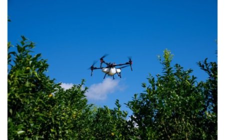 XAG Drones Give Brazilian Farmers the Edge Amid Unpredictable Weather