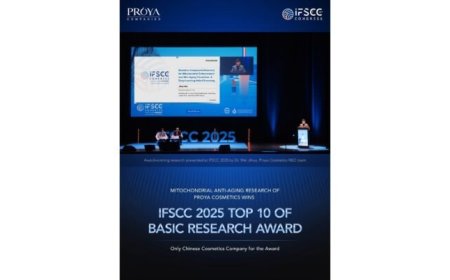 Taiwan’s New Media Art to Illuminate Two Major European Stages — Peppercorns Interactive Media Art at Signal Festival (Czech Republic) and RADAR Festival (Romania) this October