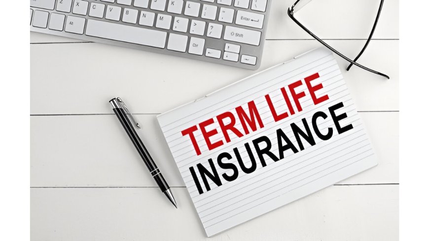 Term Insurance Guide: All You Need to Know About This Simple but Essential Plan