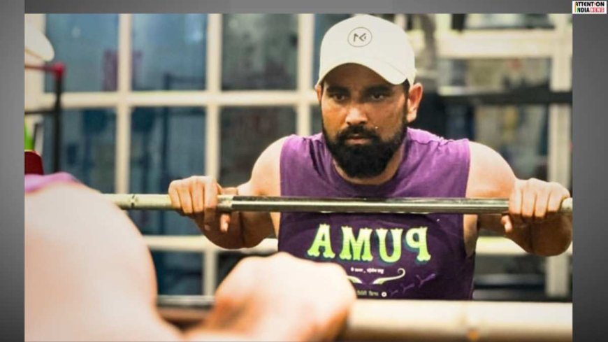 Calcutta High Court orders Shami to pay 4 lakh alimony to wife and daughter