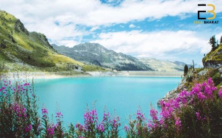 From Mountains to Beaches: Explore India and Beyond with Eeka Bharat