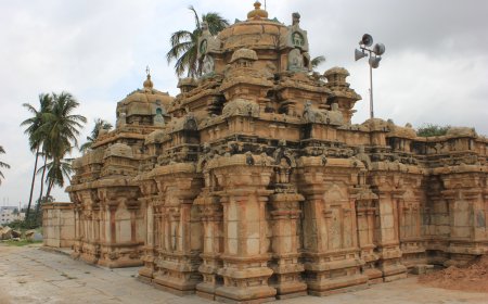 Bengaluru Traffic Restrictions Announced For Last Kartika Monday Near Begur Temple With Alternative Routes