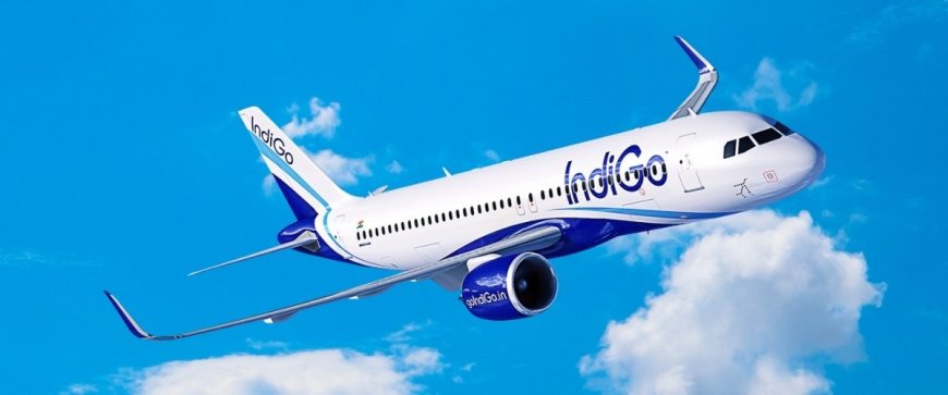 Government Orders IndiGo Refunds And Baggage Help After Massive Flight Chaos