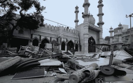 Delhi Police Arrest 5 in Turkman Gate Mosque Clash; Tear Gas Used Amid Stone-Pelting During Court-Ordered Demolition Drive