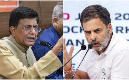 Piyush Goyal Praises India US Trade Deal, Targets Rahul Gandhi Amid Missing Details