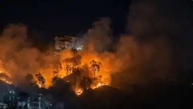 IAF Choppers Deployed as Massive Fire Engulfs Kasauli Forest