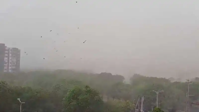 Delhi Dust Storm: 92 kmph Winds Trigger Red Alert Across City