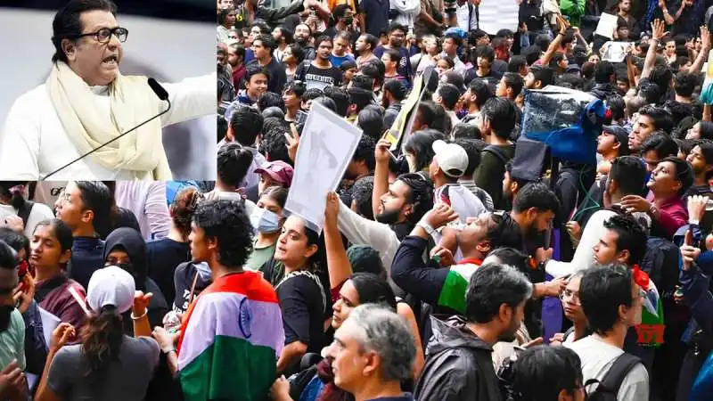 'Will Thrash Goons': Raj Thackeray's Warning Before July 26 Protest