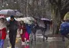Himachal Weather Alert: Heavy Rain Warning for Aug 14,17,18