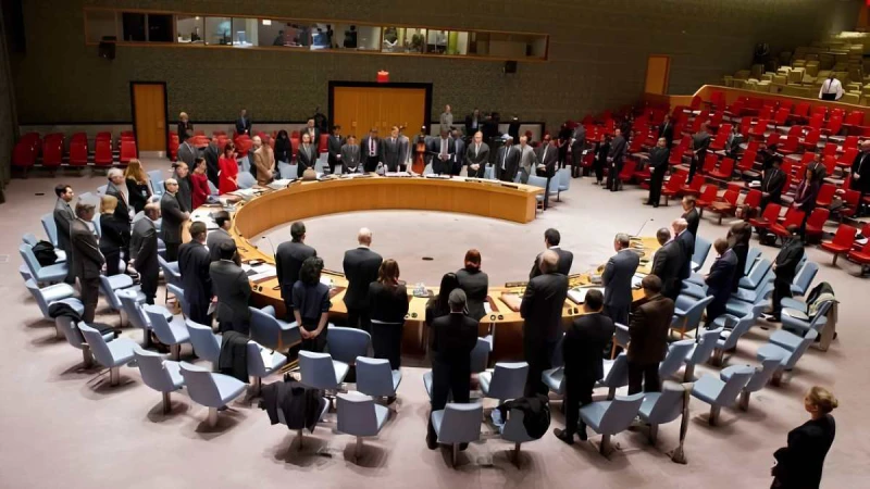 India Pushes for Veto Rights for All UN Council Members