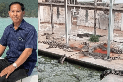 72-Year-Old Guy Falls Into Enclosure And Is Torn Apart By 40 Crocodiles.